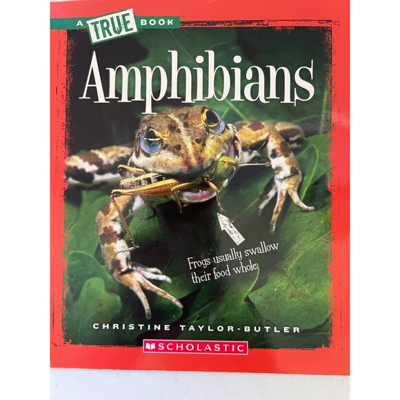 Set Of 4 Books: Teaching History Science Art and Fun School Teach Student - Picture 6 of 9